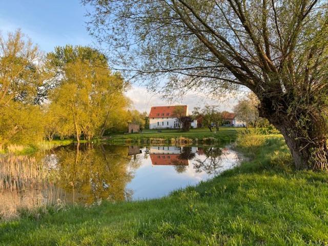 Traumhaftes Luxus-Ferienhaus Warnkenhagen  Exteriér fotografie